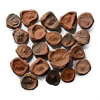Roman Terracotta Bullae, Tesserae or Token Group