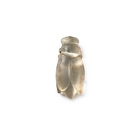 Egyptian Rock Crystal Locust Pendant
