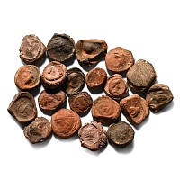 Roman Terracotta Bullae, Tesserae or Token Group
