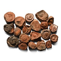 Roman Terracotta Bullae, Tesserae or Token Group