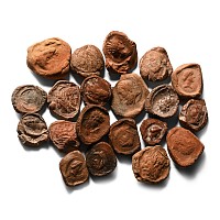 Roman Terracotta Bullae, Tesserae or Token Group