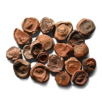 Roman Terracotta Bullae, Tesserae or Token Group