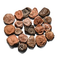 Roman Terracotta Bullae, Tesserae or Token Group