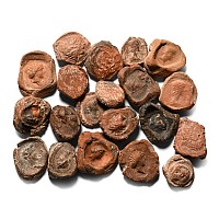 Roman Terracotta Bullae, Tesserae or Token Group