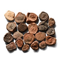 Roman Terracotta Bullae, Tesserae or Token Group