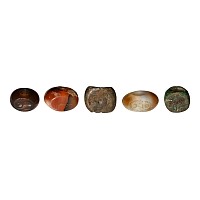 Sasanian Agate and Bronze Stamp Seal Collection