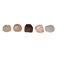 Western Asiatic Stone Stamp Seal Pendant Collection