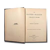 Water Babies by Charles Kingsley
