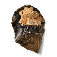 Stone Age Flint Core