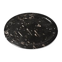 Large Polished Orthoceras Fossil Oval Platter