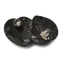 Polished Goniatite and Orthoceras Fossil Double Heart-Shaped Bowl