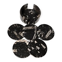 Polished Orthoceras Fossil Coaster Set