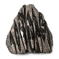 Polished Orthoceras Fossil Display Plaque
