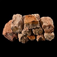 Group of Ten [10] Large Fossilised Tree Branch Sections