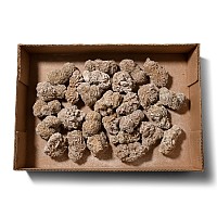 Box of Twenty-Seven [27] Desert Rose Specimens