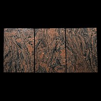 Morton Gneiss Plate Sections