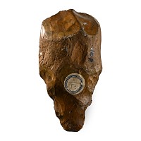 Stone Age Acheulean Handaxe