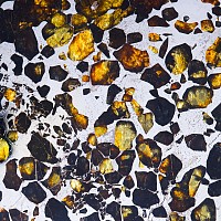 Seymchan Meteorite Cross-Section