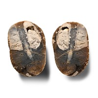 Cut and Polished Fossil Sponge in Flint Nodule