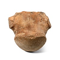 Fossil Tylosaurus Marine Dinosaur Vertebra