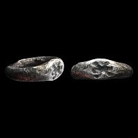 Roman Silver Ring with Lizard