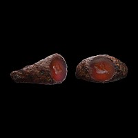 Roman Iron Military Ring with Carnelian Horse Head Gemstone