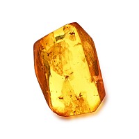 Polished Amber with Midges