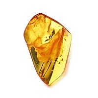 Polished Amber with Midges