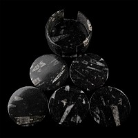 Polished Fossil Orthoceras Coaster Set