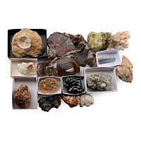 Mixed Fossil, Crystal and Mineral Collection