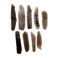 Farnham Stone Age Flint Blade Collection