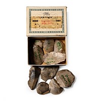Farnham Stone Age Flint Scraper Collection
