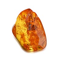 Polished Baltic Amber with Spider and a Fly