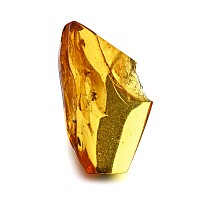 Polished Baltic Amber with an Insect and Other Inclusions