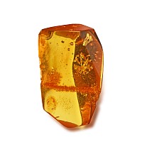 Polished Baltic Amber with Fly