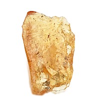 Large Polished Copal with Insects