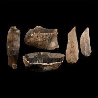 Farnham Capel Field Stone Age Knapped Flint Tool Collection