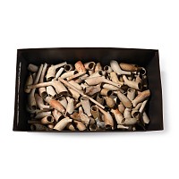 'Thames' Post Medieval Clay Tobacco Pipe Collection