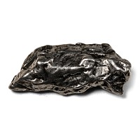 Campo Del Cielo Iron Meteorite
