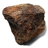 Edmontosaurus Dinosaur Fossil Bone