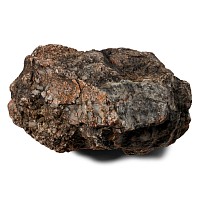 Sauropod Agatised Dinosaur Cuprolite