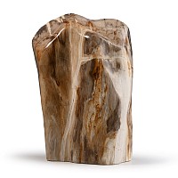 Javanese Fossil Wood Specimen
