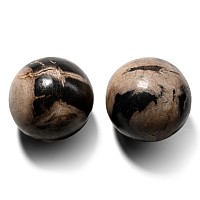 Fossil Javanese Wood Spheres
