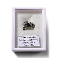 Aletai Meteorite Specimen