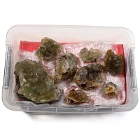 Fluorite Mineral Collection