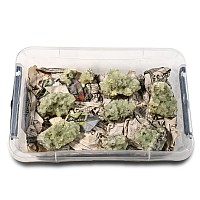 Prehnite Crystal Specimen Group