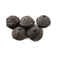 Pre-Columbian Terracotta Bead or Spindle Whorl Collection