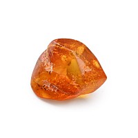 Polished Amber with Insect Inclusion