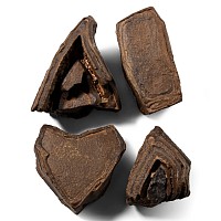 Fossilised Mineral Mud