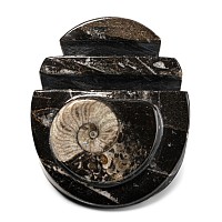 Fossil Goniatite Polished Letter Holder